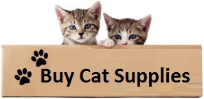 Buy Cat Supplies