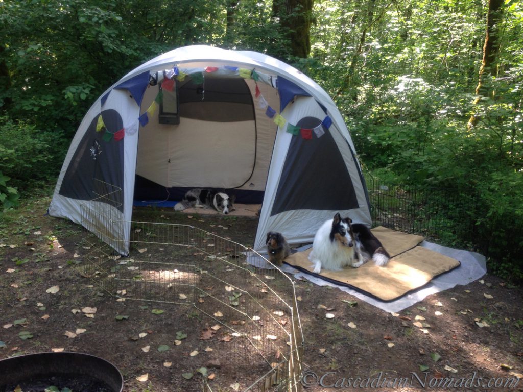 Glamping with Pets