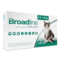Broadline spot on solution large cats