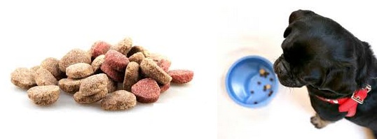 Dental Food And Treats for Dogs