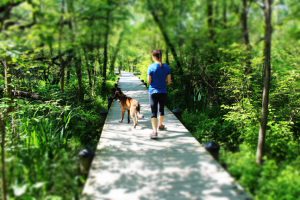 Theodore Roosevelt Island for Pets