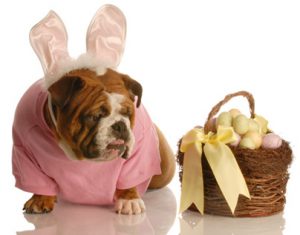 Dress Pups during easter