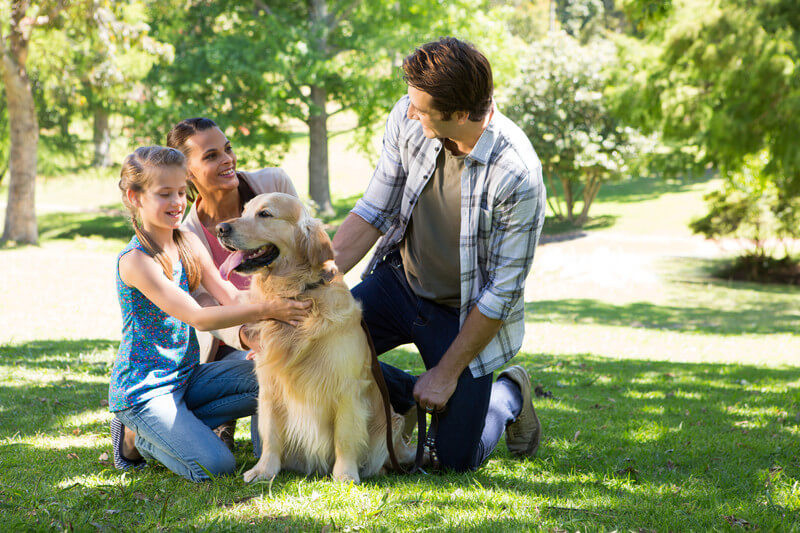Networking with People - 5 Major Factors to Consider Before Buying a Pup Raised Outside - Canada Pet Care Blog
