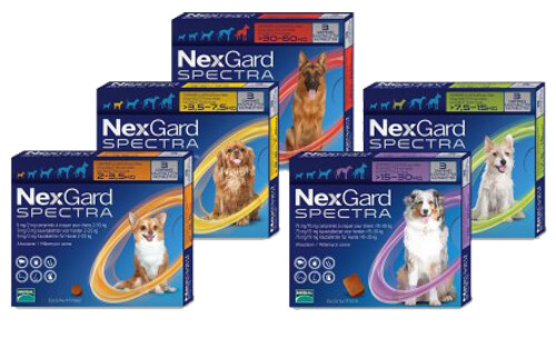 Nexgard Spectra Tab for Dogs - Canada Pet Care Blog