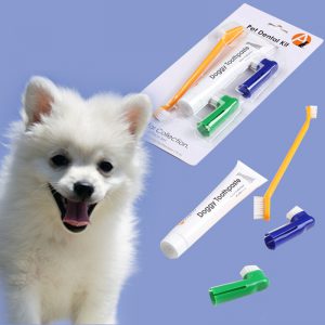 Pet Toothpaste Set for Dog and Cat