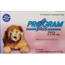 pets flea treatment