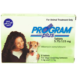 pets flea treatment