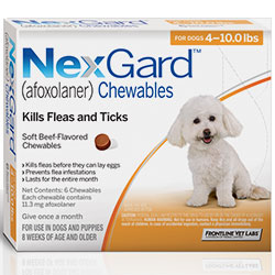 Nexgard tasty chewable kills fleas and protects dogs from harmful flea infestation  Buy branded Nexgard for Dogs for Flea & Tick Control treatment with free shipping to all over USA.