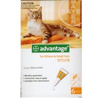 Advantage for Kittens & Small Cats upto 10lbs is a topical anti-flea treatment. The waterproof solution kills 98 - 100 % adult fleas within 12 hours application and reduces the chances of Flea Allergy Dermatitis (FAD).