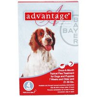 Advantage for large dogs is a topical anti-flea treatment. The waterproof solution kills 98 - 100 % adult fleas on dogs within 12 hours application and reduces the chances of Flea Allergy Dermatitis (FAD).