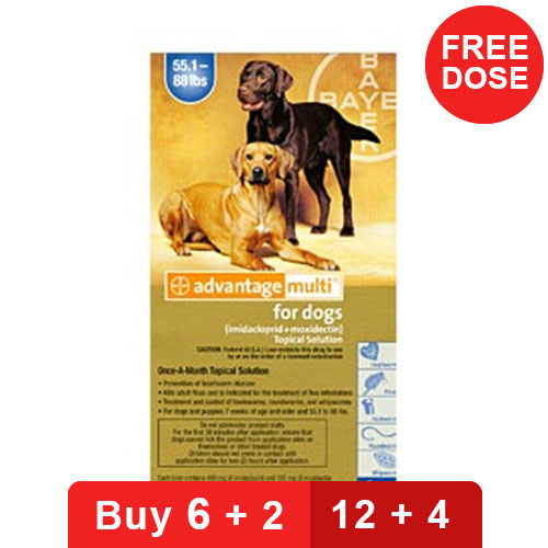 Advantage Multi for Dogs Buy Advantage Multi Flea & Heartworm
