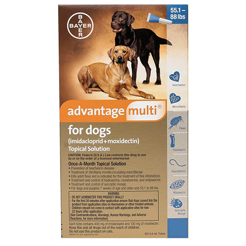 Advantage Multi (Advocate) for Extra Large Dogs is the latest topical solution for flea prevention. This monthly treatment prevents heartworm, roundworm, whipworm and mite infestation.