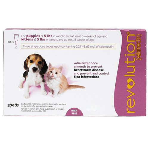 pets flea treatment