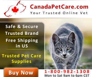 Cheapest Pet Supplies Online