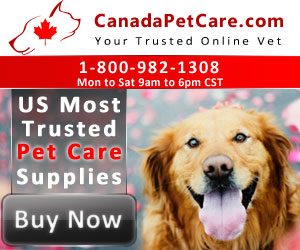 Cheapest Pet Supplies Online