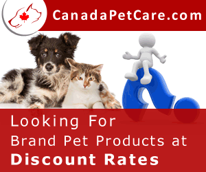 Cheapest Pet Supplies Online