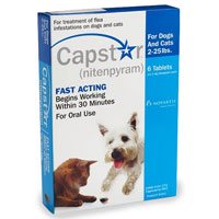 capstar for dogs