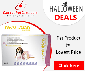 Let Your Pet Be Boo-tiful this Halloween! Save $30 + 12% Extra OFF & Free Shipping All Orders. Use Coupon: FRIGHT12