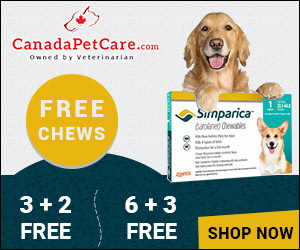 Offer Valid Till Stock Lasts! Shop Now to Avail 3 Months Free Supply of Simparica Chewables for Dogs + 10% Extra Discount & Free Shipping on All Orders!