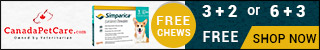 Offer Valid Till Stock Lasts! Shop Now to Avail 3 Months Free Supply of Simparica Chewables for Dogs + 10% Extra Discount & Free Shipping on All Orders!
