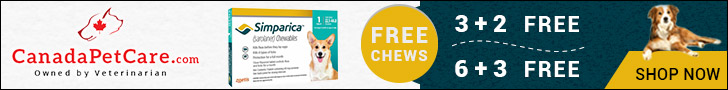 Offer Valid Till Stock Lasts! Shop Now to Avail 3 Months Free Supply of Simparica Chewables for Dogs + 10% Extra Discount & Free Shipping on All Orders!