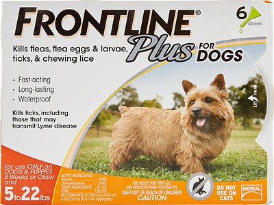 How Frontline Plus Works on Pets to Kill Fleas and Ticks?