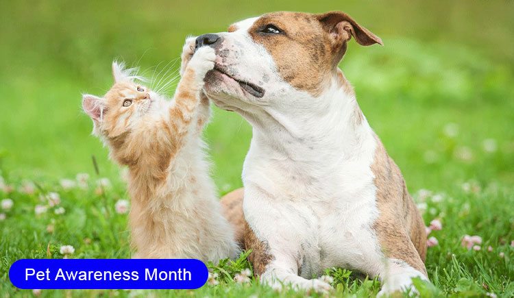 pet awareness month