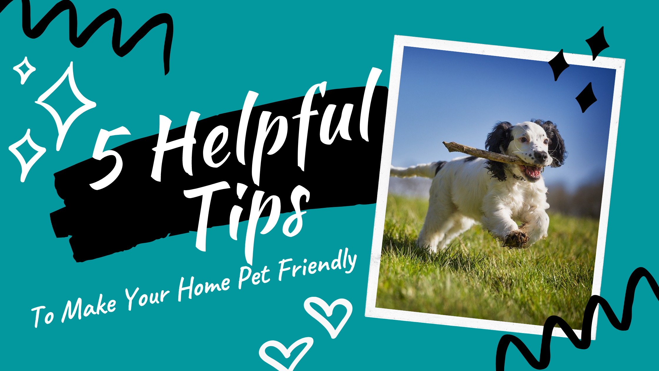 5 Helpful Tips to Make Your Home Pet Friendly