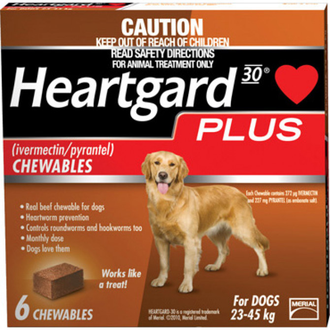 Top Five Heartworm Products in the Market CanadaPetCare Blog