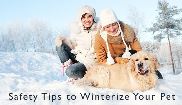 Safety Tips to Winterize Your Pet - CanadaPetCare Blog