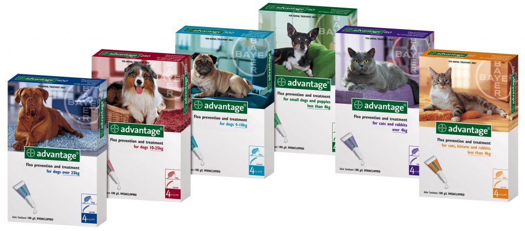 Advantage For Dogs & Cats