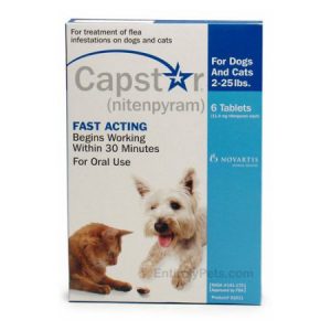 Capstar For Cats