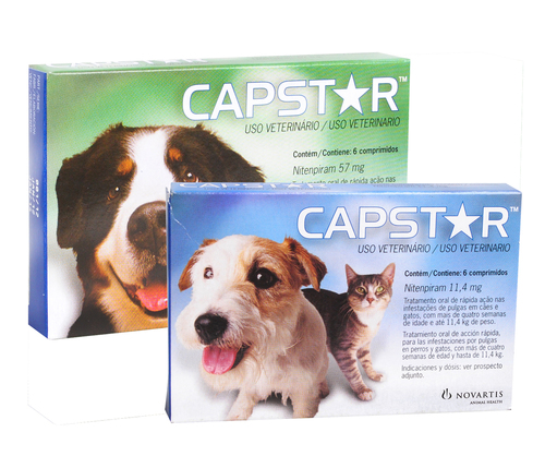 Capstar For Dogs & Cats