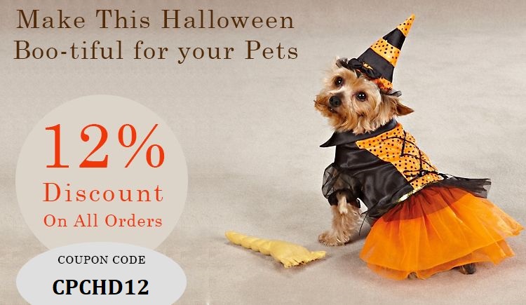 Best Pet Supplies - Halloween Day Special Sale 2021 - CanadaPetCare