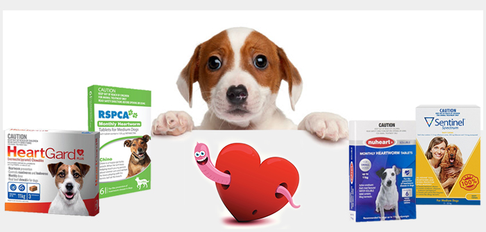Commence Heartworm Preventative Treatment - Canada Pet Care