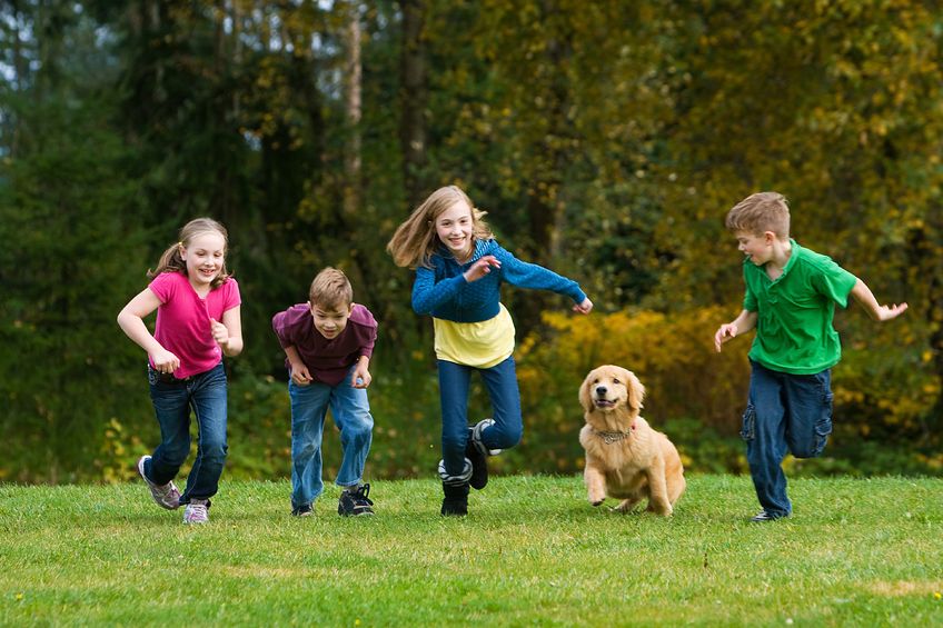 Ease Into Activity - Canada Pet Care