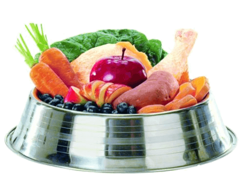 Dog Healthy Diet - Canada Pet Care Blog