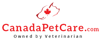 Lush Is Canada Pet Care Legit Picture Nature Lush Is Canada Pet Care Legit Picture Nature