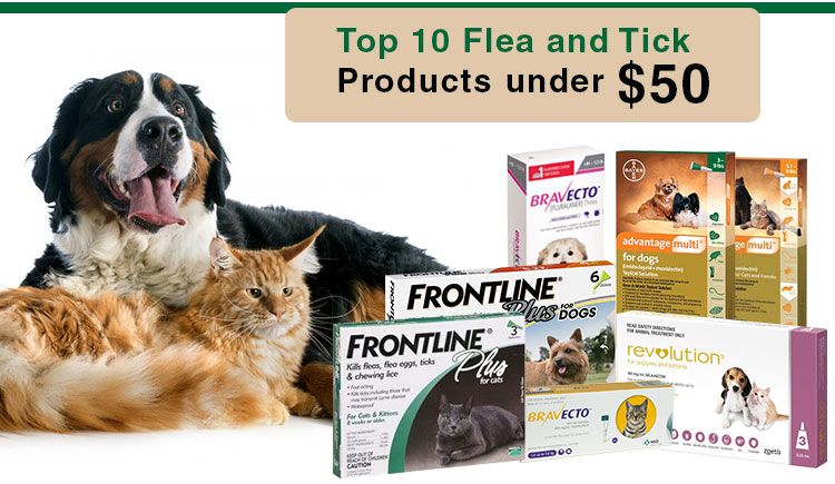 top flea and tick for dogs