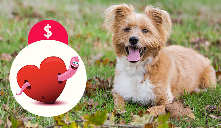 cost of heartworm treatment dogs