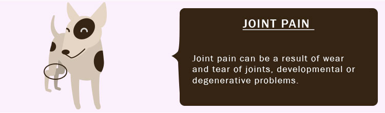 Joint Pain  in dogs