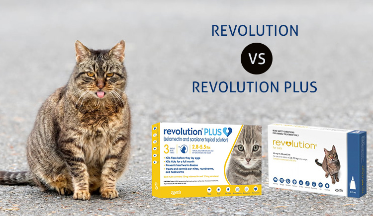 Revolution Vs. Revolution Plus – Choosing The Ideal Parasitic Treatment For  Cats - CanadaPetCare Blog