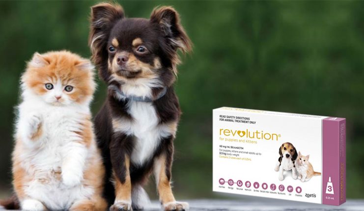 Revolution for Pets - Benefits and Side Effects