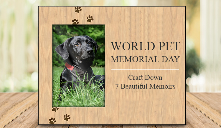 World Pet Memorial Day