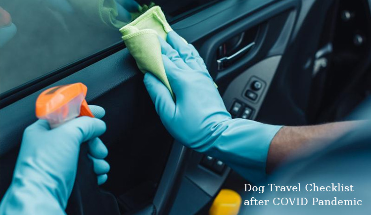 Dog Travel Checklist after COVID Pandemic