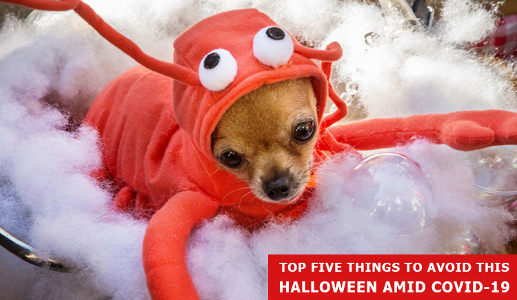 5 Things To Avoid This Halloween Amid Covid-19