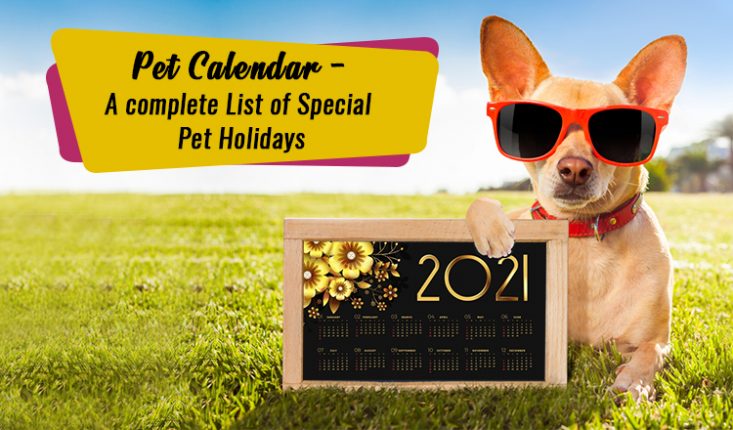 Pet Calendar 2021 - A Complete List of Special Pet Holidays