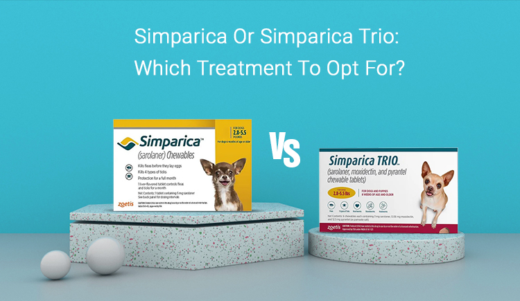 Simparica vs Simparica Trio