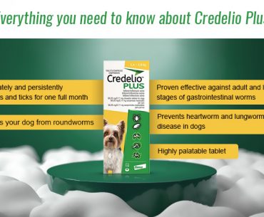 Credelio Plus for Dog Review