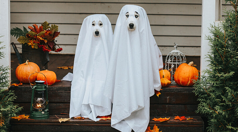 DIY-Halloween-Scary-ghost-costume